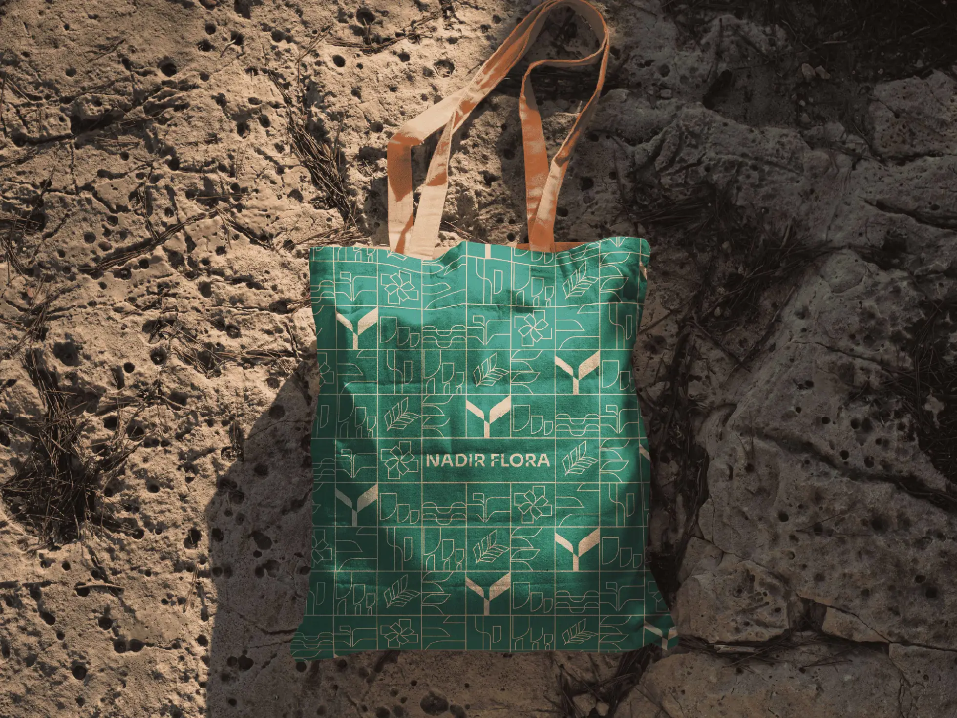 Nadir Flora, project image
