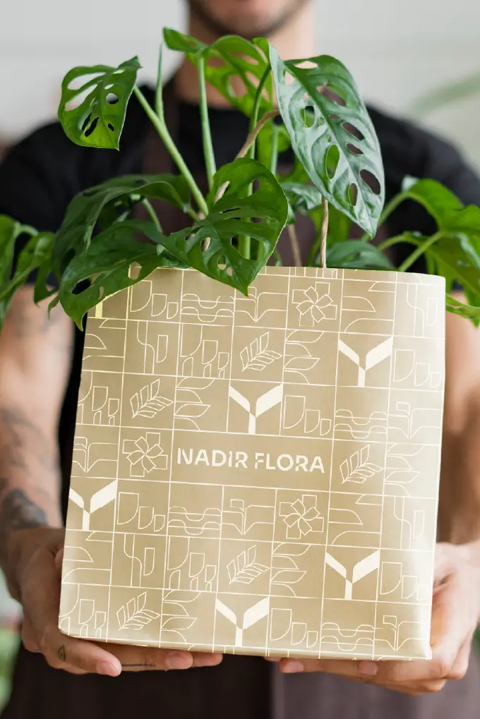 Nadir Flora, project image