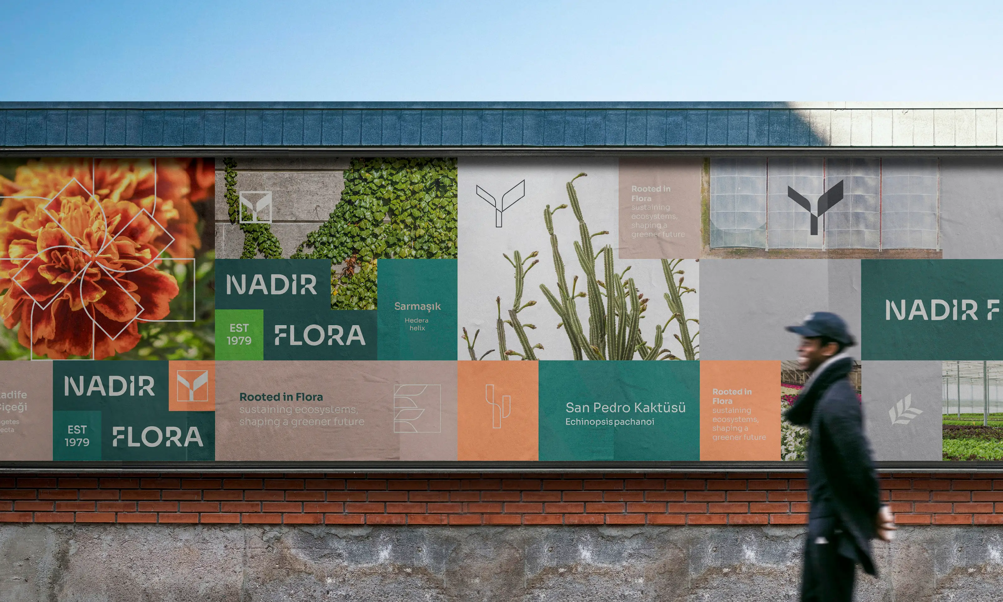 Nadir Flora, project image